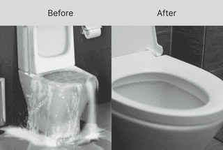 Service image for Blocked Toilets